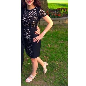 Black and Tan Anthropologie midi dress by Maeve